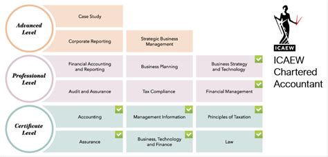icaew|icaew subjects.
